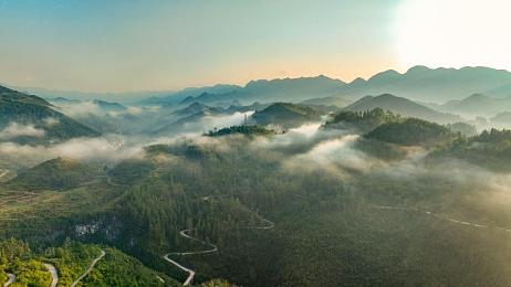 黄色应用免费大十下载｜揭秘职场秘境，免费体验《黄色应用大十下载》，解锁都市精英之旅-1