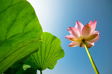 疯狂多人性交派对｜揭秘疯狂派对：道德底线与人性挣扎