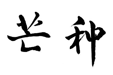 如何用一支笔抄哭自己｜笔尖疗愈之旅，书写情感释放之旅