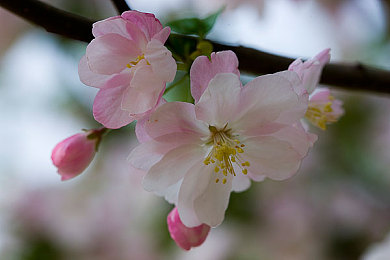 不思议迷宫混沌深渊节杖4｜揭秘《不思议迷宫》中的传奇神器：混沌深渊节杖4，战斗霸主之路-1