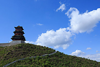 向日葵色板｜色彩迷宫探险：解谜之旅，绘梦奇境-1