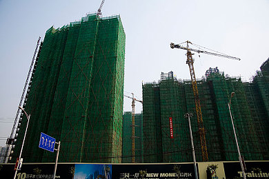 含羞草2025｜“揭秘含羞草2025：智能植物革新，未来生活新篇章”-2