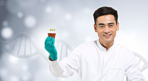 pixiv梯子加速器｜Pixiv梯子加速器助力高效浏览，用户反响热烈，网络安全需警惕-1