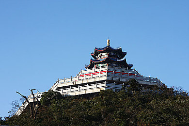 天天干天｜“天天干天”应用上线，打造全新视听体验，畅享每日快乐时光-1