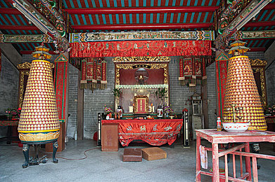 含羞草官网｜“含羞草官网新平台助力植物爱好者：探索自然之美，交流养护心得”-3