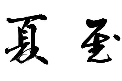 91抖音视频｜网络热议：91抖音真相追踪，共筑社会进步之路