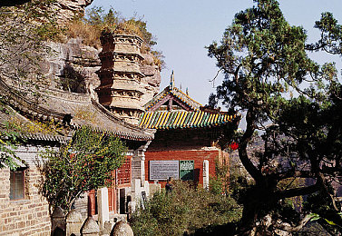 5x社区直接进入5XSQ含羞草免费｜神秘5x社区，畅享5XSQ含羞草福利之旅-2