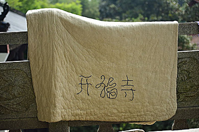 不知火和三个小男孩在森林公园｜奇遇“不知火”：森林教育下的自然守护启示录-2