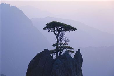 国外免费sparkling网站｜探索Sparkling世界，畅游创意海洋-2