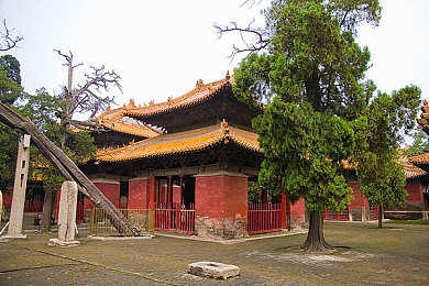请牢记域名防止失联｜网络门牌守护者：域名安全之旅-2