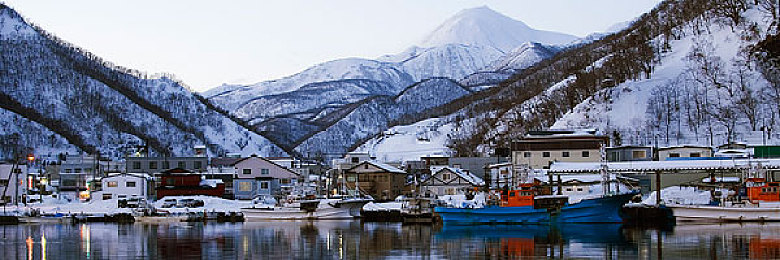 www.香蕉｜穿梭奇幻香蕉岛，探险之旅等你启航