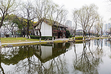色应用｜净化网络，守护青春，共筑道德防线-3