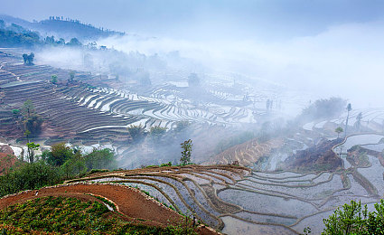韩国一面亲下边一面膜｜韩国护肤秘籍：亲民面膜，美丽蜕变之旅-2