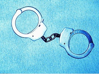 男人挺进雌性宠物爽到叫｜虚拟现实引领新潮流：探索“男人挺进雌性宠物爽到叫”游戏独特魅力-1