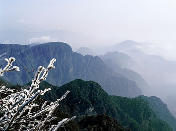 叶招颖羽毛球｜“智能伴飞，羽动心弦——叶招颖羽毛球软件深度体验记”-1