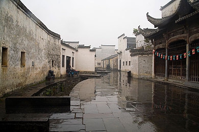 中国xxxxx｜新能源浪潮涌动，中国车市绿色未来可期-2