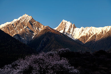 9I免费视频免费板｜免费素材盛宴，9I平台助您轻松开启视频创作新篇章