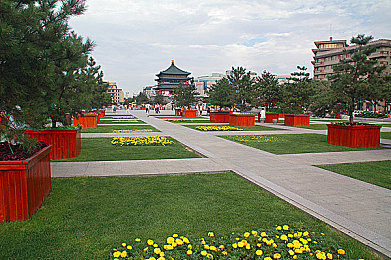 天天爱天天干天天｜每日习惯养成乐园：快乐生活每一天