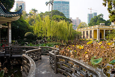 春暖花开 回家入口｜春暖花开游戏好评如潮，带你感受家乡温暖与乐趣-2