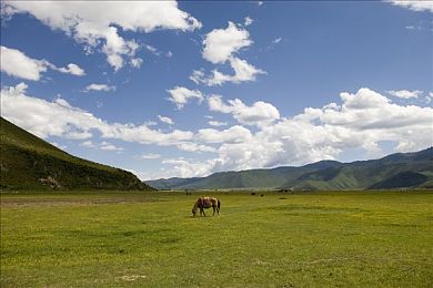 小柔和高达在公交车的行为表现｜和服与高达同框，公交文化碰撞出新火花