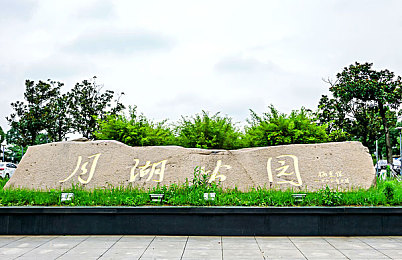 蝌蚪窝一个释放网站｜心灵减压之旅，探索心理健康新天地-2