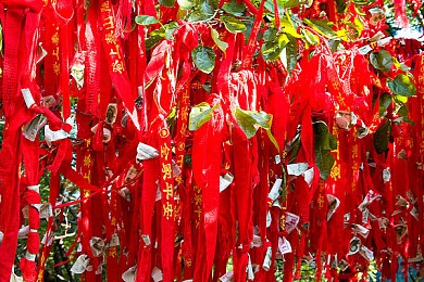 菲谢尔大战史莱姆vicineko｜勇者菲谢尔与神秘史莱姆，奇幻对决点燃游戏文化新篇章-3