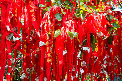 欧美又大又长｜欧美风云激荡，多领域挑战交织成长画卷-3