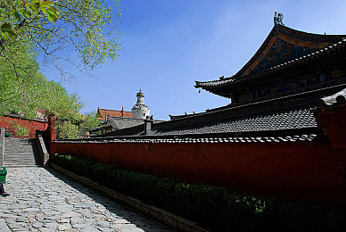 黄色软件2025｜未来侦探之旅：科技迷城探险记-4