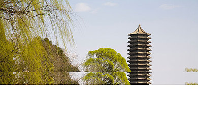 所有污的APP｜揭秘隐私花园：畅游数字世界，体验独特娱乐空间-3