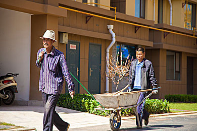 忘忧草俏佳人｜忘忧草俏佳人：天然草本，新时代治愈神器，助你轻松减压焕发活力-2
