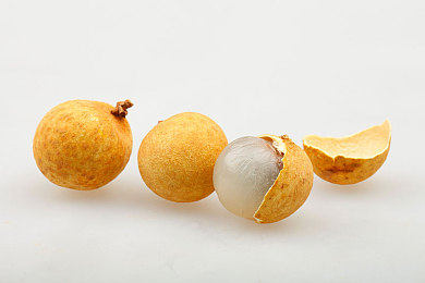 毛茸茸的 成熟的 业余的｜毛茸茸温馨家居娱乐新品：打造成熟品质业余时光-4