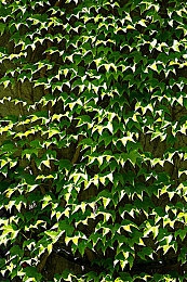 年纪轻轻的老师毛茸茸｜毛茸茸教师魅力绽放，创新教育风潮涌动-4