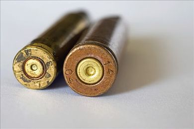 中文在线天堂网｜揭秘中文在线天堂：海量资源助力语言提升，互动交流畅享学习乐趣-5