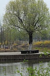 英语老师的兔子又大又圆又好吃｜校园奇兔：品鉴美味，关爱生命-4