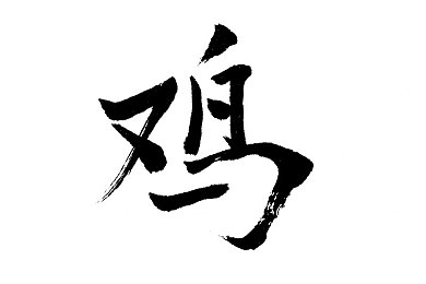 麻豆乐园｜麻豆乐园：活力时尚，一站式娱乐盛宴-3