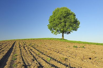搞鸡游戏｜搞鸡游戏创新玩法颠覆传统，社交互动引领游戏新潮流