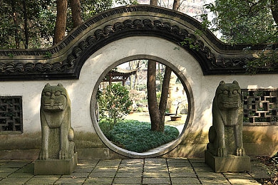 婷激情｜点燃内心激情，婷婷之姿助力个人成长与事业发展-2