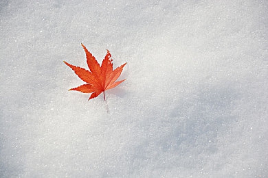 爽 好多水 快 深点快小雪A片｜水漫仙界，探险狂欢：畅游《水世界》奇遇记