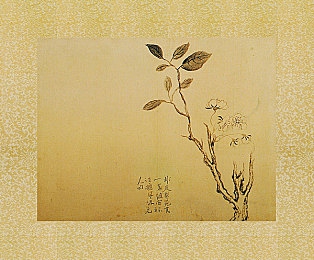 杨玉环的三港版1996主演｜盛唐风华再现，杨玉环传奇再燃荧屏-4
