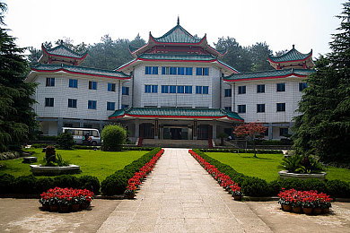 国产精品久久久久久久不卡｜国产力量，品质卓越，全球闪耀——国产精品崛起之路-3