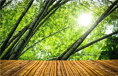 黄色应用下载免费oppo｜免费畅玩手游盛宴，OPPO平台带你体验游戏新境界-2