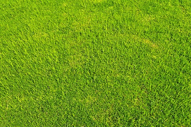 娘在狗子背写字的故事和历史背景｜古韵今辉：娘在狗子背写字，传承自强不息女性力量-2