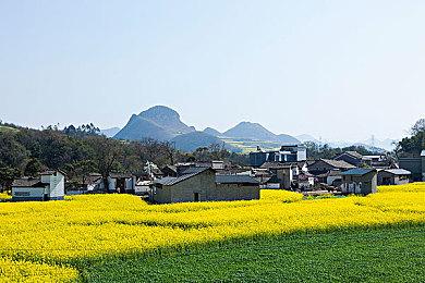阿娇陈冠希一区二区三区｜阿娇陈冠希一区二区三区：揭秘热门视频内容独特魅力，引观众狂欢热议-5