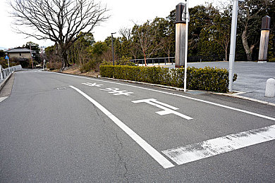 九九成热｜夏日酷暑挑战：城市生活“九九”应对记-5