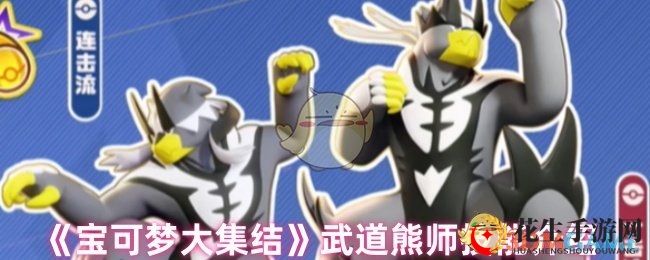 《宝可梦大集结》神秘武道熊师技能揭秘：一击流与连击流魅力全解析